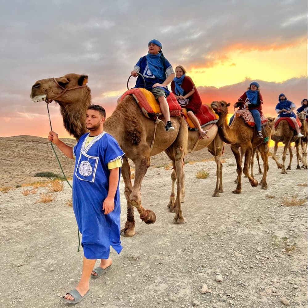 Guide leading camel caravan at sunset