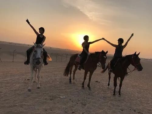 Horse Ride, Dinner Show & Transport